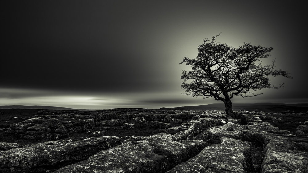 Monatsbilder Mai 2025